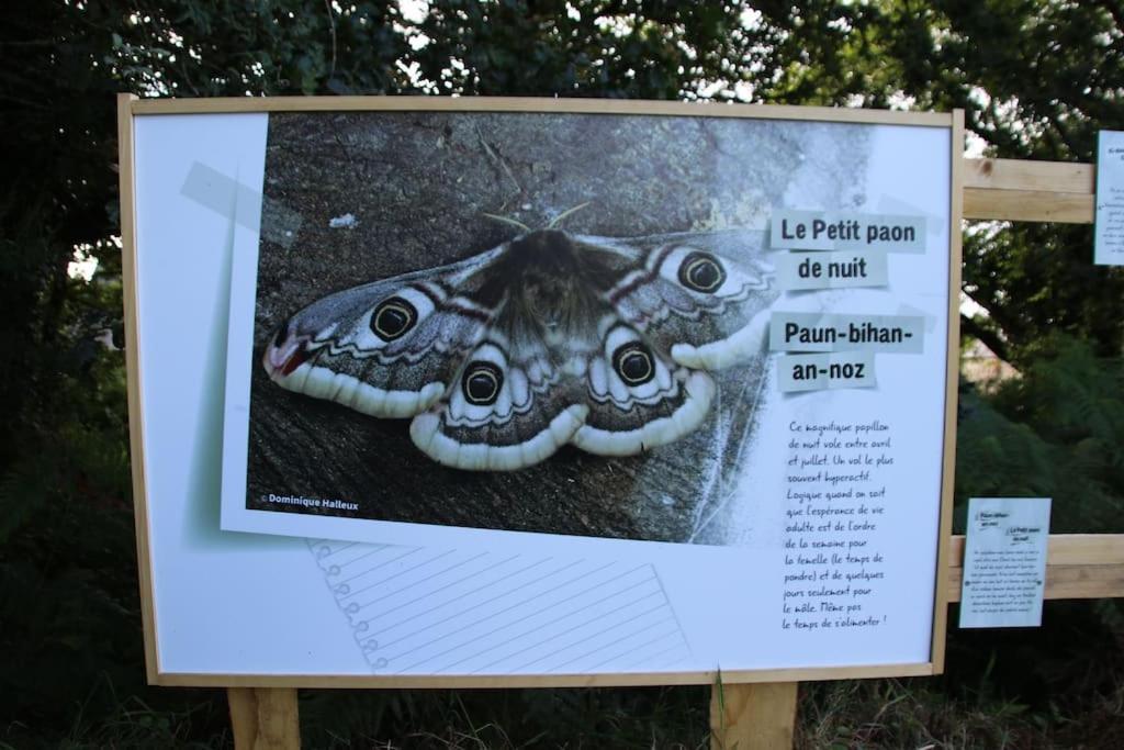 La Petite Bretonne Villa Plounerin Ngoại thất bức ảnh